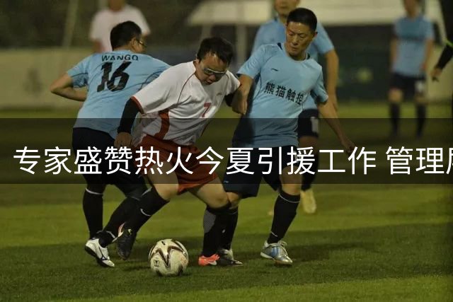 专家盛赞热火今夏引援工作 管理层操作获评最高分