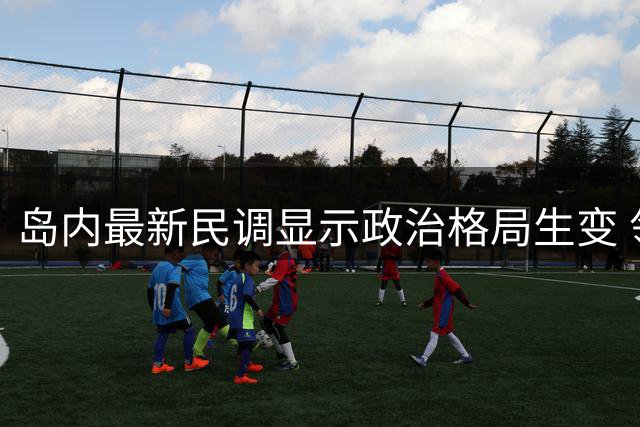 岛内最新民调显示政治格局生变 领袖支持度呈现新态势